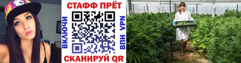 Вейп ТГК Игра