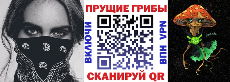 Галлюциногенные грибы мицелий  Игра 